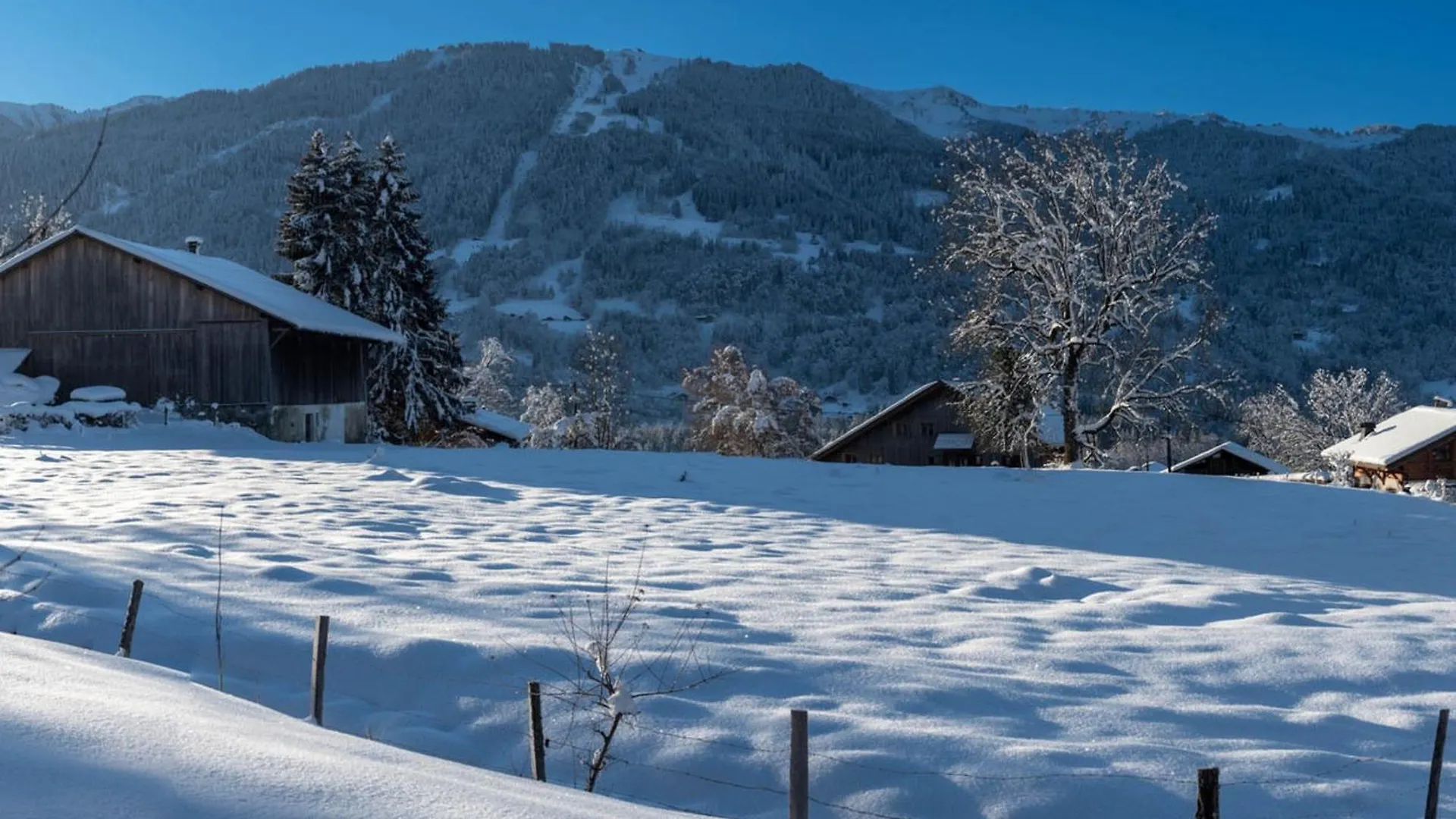 Apartment Appartement Calme Et Nature Sur Les Hauteurs De Samoens - Residence Les Fermes Du Villard - Fr-1-629-110